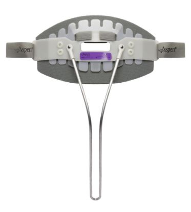 Picture of Aspen® CTO BACK PANEL, LARGE